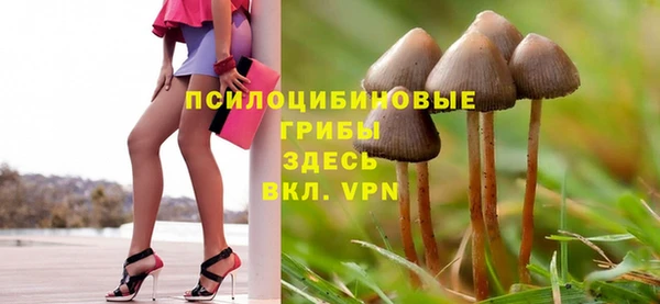 кокс Пестово