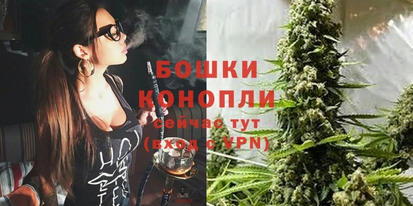 кокс Осташков