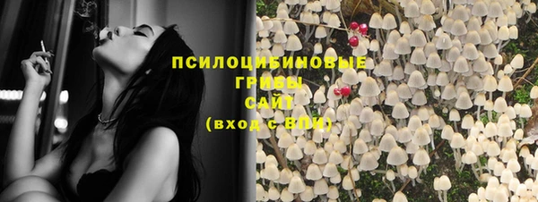 кокс Осташков